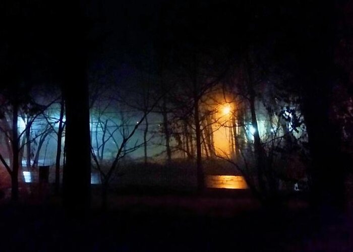 Weather Greeting Card featuring the photograph Foggy January Night by Ally White