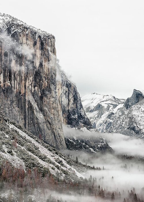 California Greeting Card featuring the photograph Foggy morning El Capitan by Rudy Wilms