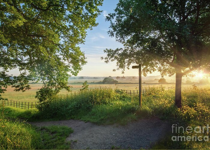 Norfolk Greeting Card featuring the photograph Footpath sign in rural sunrise landscape Norfolk by Simon Bratt