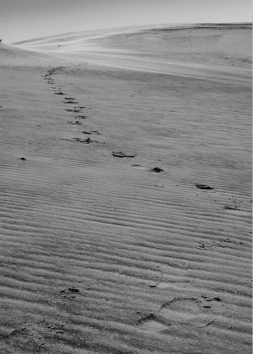 Black And White Greeting Card featuring the photograph Footprints in the Sand by Melissa Southern