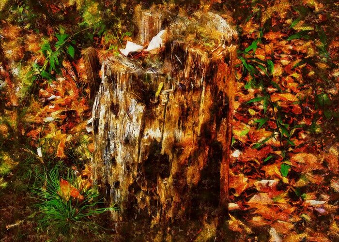 Stump Greeting Card featuring the mixed media Forest Floor in Autumn by Christopher Reed