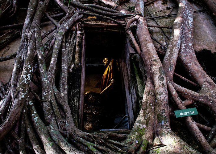 Banyan Greeting Card featuring the photograph Forgotten Temple - Wat Ban Kung, Thailand by Earth And Spirit