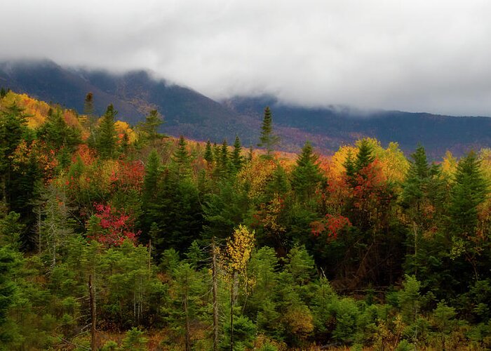 Franconia Notch State Park In Autumn Greeting Card featuring the photograph Franconia Notch State Park In Autumn by Dan Sproul