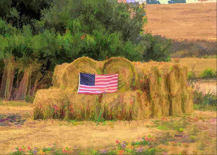Flag Greeting Card featuring the photograph Freedom In A Haystack by Barbara Snyder