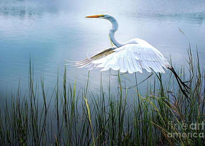 Blue Great Egret Greeting Card featuring the photograph Freedom in Flight by Amy Dundon