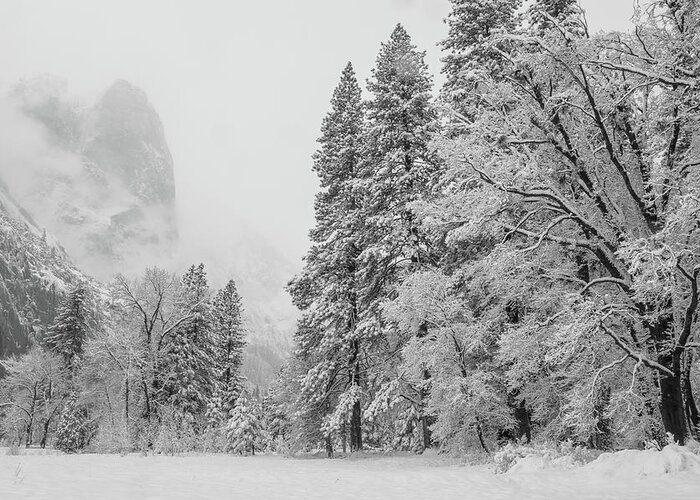 Landscape Greeting Card featuring the photograph Frigid by Jonathan Nguyen