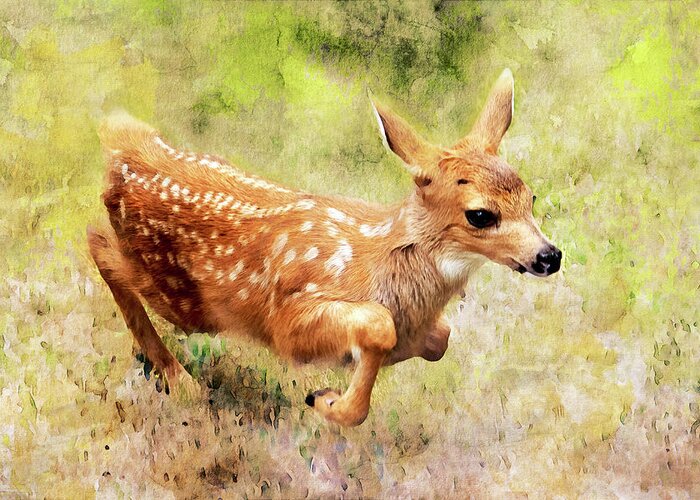 Fawns Greeting Card featuring the photograph Frisky Fawn Watercolor by Peggy Collins