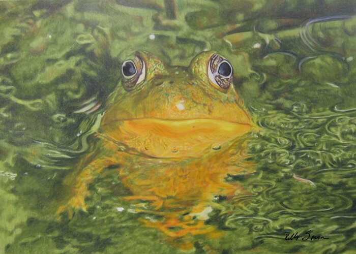 Water Greeting Card featuring the drawing Frog's Delight by Kelly Speros