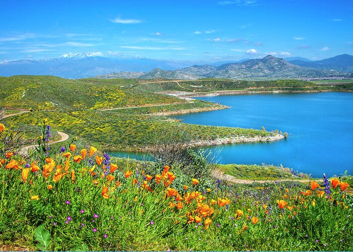 Superbloom Greeting Card featuring the photograph From Winter to Spring at Diamond Valley Lake by Lynn Bauer