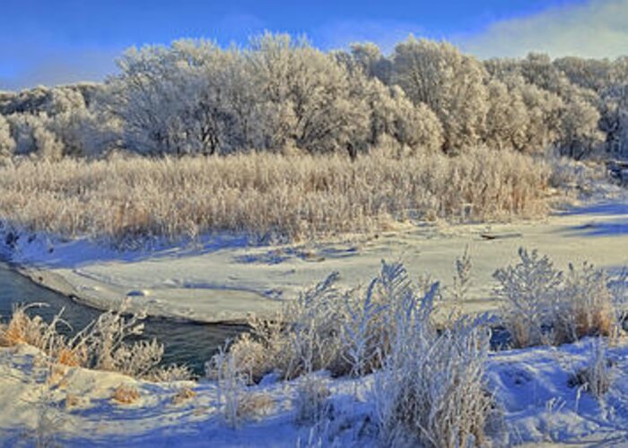 Winter Landscape Greeting Card featuring the photograph Frost Along the Creek - Panorama by Bruce Morrison