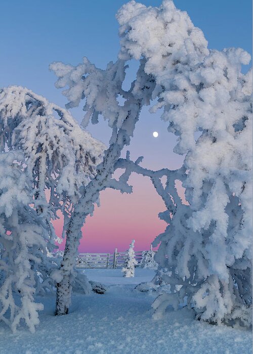 Finland Greeting Card featuring the photograph Frosty moon by Thomas Kast