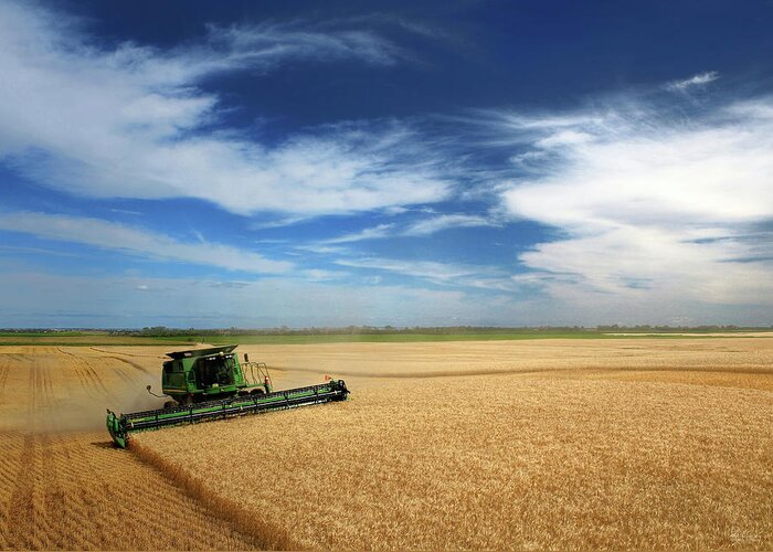John Deere Greeting Card featuring the photograph Full Hopper - John Deere combine harvesting wheat on rolling ND prairie by Peter Herman