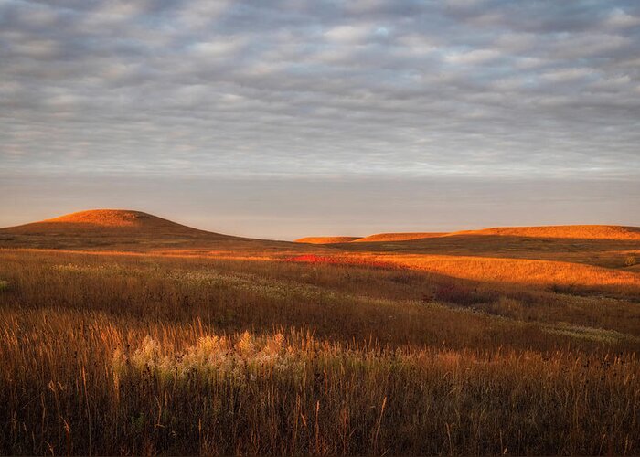 America Greeting Card featuring the photograph Full Range of Fall Colors by Scott Bean