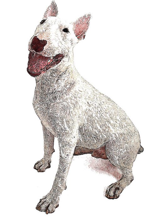 Funny Greeting Card featuring the painting Funny and Cute, English Bull Terrier Dog by Custom Pet Portrait Art Studio