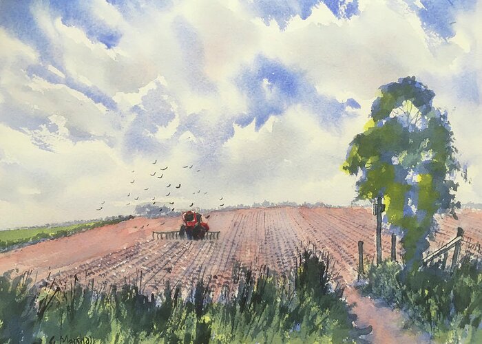 Watercolour Greeting Card featuring the painting Furrows and Gulls by Glenn Marshall