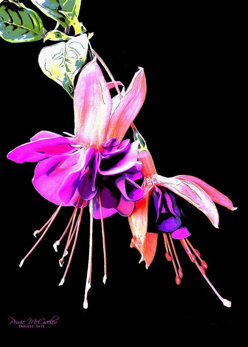 Flowers Greeting Card featuring the mixed media Fuschia by Pennie McCracken