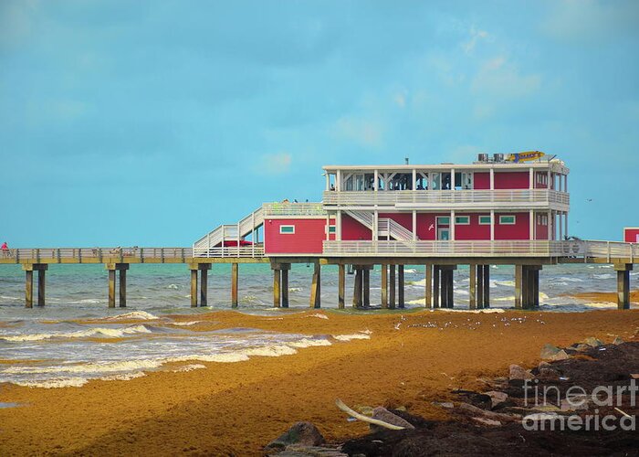 Landscape Greeting Card featuring the photograph Galveston the SV by Diana Mary Sharpton