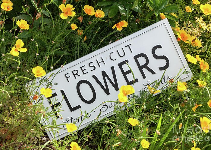 Flowers Greeting Card featuring the photograph Garden flowers with fresh cut flower sign 0753 by Simon Bratt