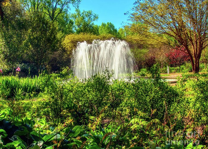 Garden Greeting Card featuring the photograph Garden Fountain by Amy Dundon