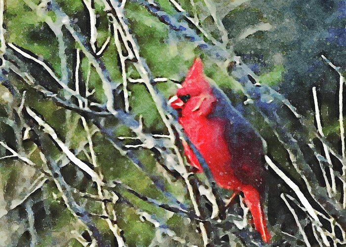 Redbird Greeting Card featuring the mixed media Garden Redbird with Branches by Shelli Fitzpatrick