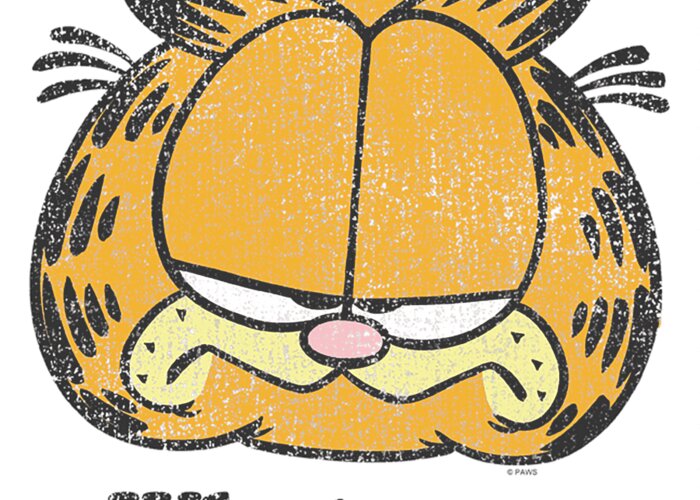 Saw someone else do their wallpaper garfield themed, so heres my take on it  : r/garfield