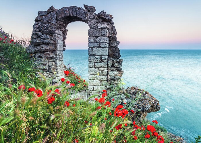 Fortress Greeting Card featuring the photograph Gate In the Poppies by Evgeni Dinev