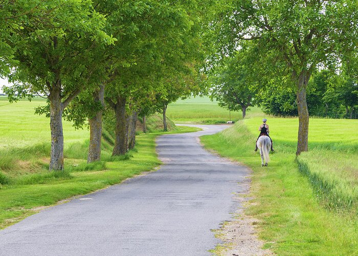 Girl Greeting Card featuring the photograph Girl riding horse in a country road by Fabiano Di Paolo
