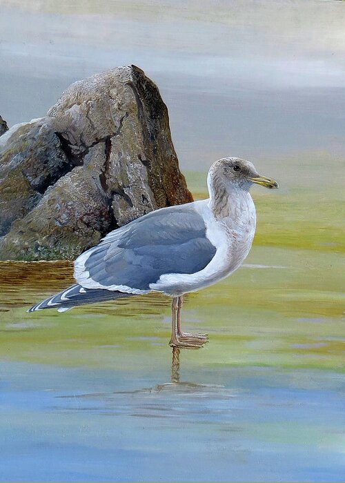 Glaucous-winged Gull Greeting Card featuring the painting Glaucous-winged Gull by Barry Kent MacKay
