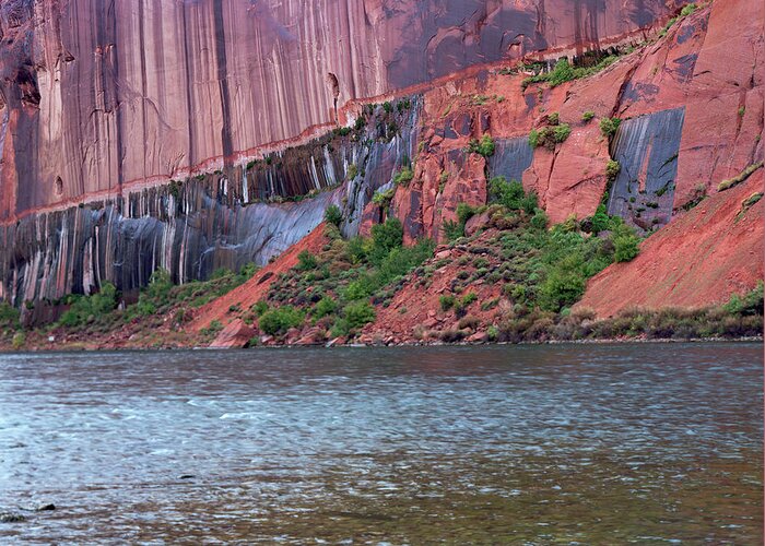 Arizona Greeting Card featuring the photograph Glen Canyon Seep by Tom Daniel