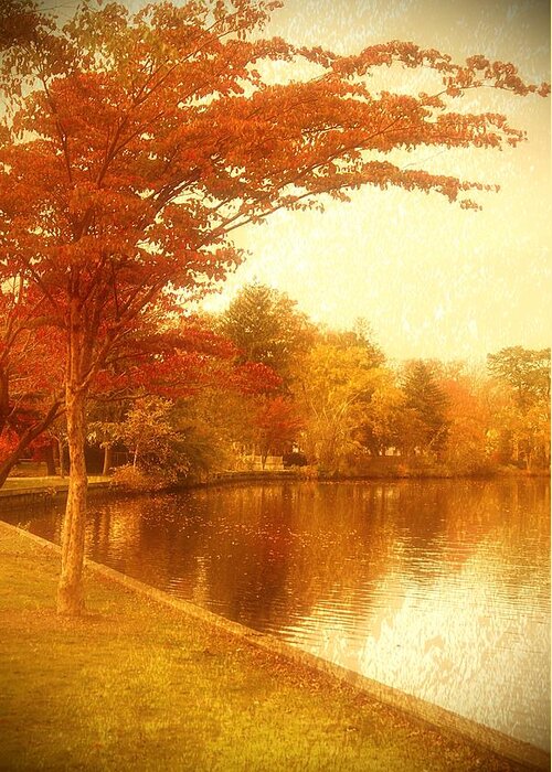 Autumn Greeting Card featuring the photograph Glorious Autumn - Lake Carasaljo by Angie Tirado