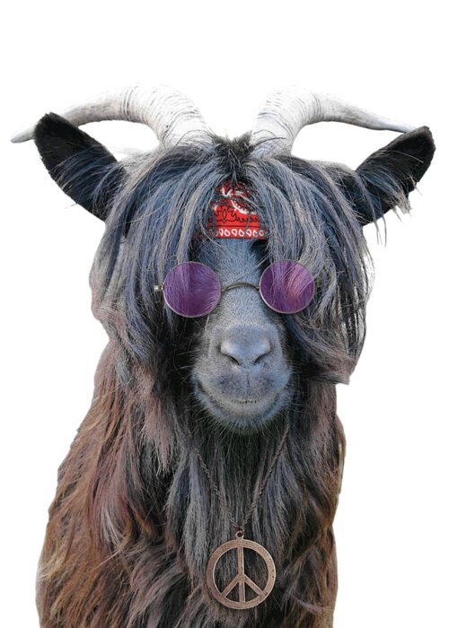 Goat Greeting Card featuring the digital art Goat hippie red bandana americana by Madame Memento