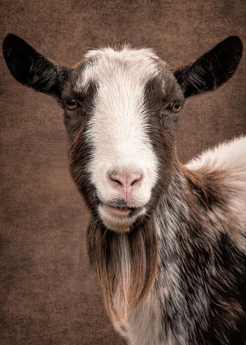 Goat Greeting Card featuring the digital art Goat Portrait by Marjolein Van Middelkoop