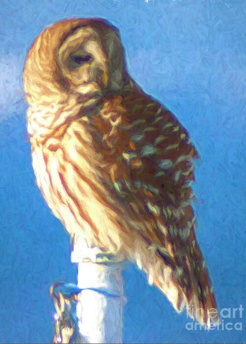 Barred Owl Greeting Card featuring the photograph Goddess on a Mountaintop by Xine Segalas