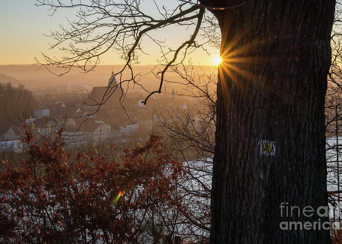 Sunset Greeting Card featuring the photograph Golden evening light 2 by Adriana Mueller