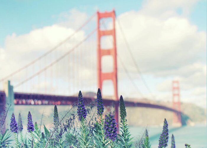 Golden Gate Bridge Greeting Card featuring the photograph Golden Gate by Lupen Grainne
