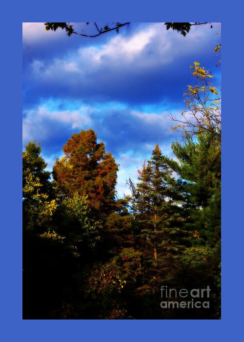 Nature Greeting Card featuring the photograph Golden Hour Autumn - Painterly - Frank J Casella by Frank J Casella