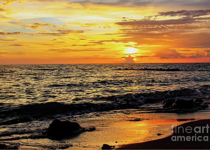 Sunset Greeting Card featuring the photograph Golden Hues at Sunset by Joanne Carey