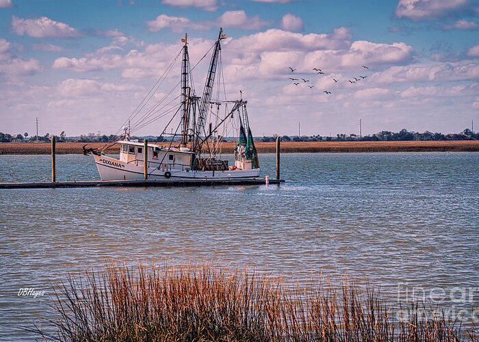  Greeting Card featuring the photograph Golden Isles Marine PhotoArt by DB Hayes