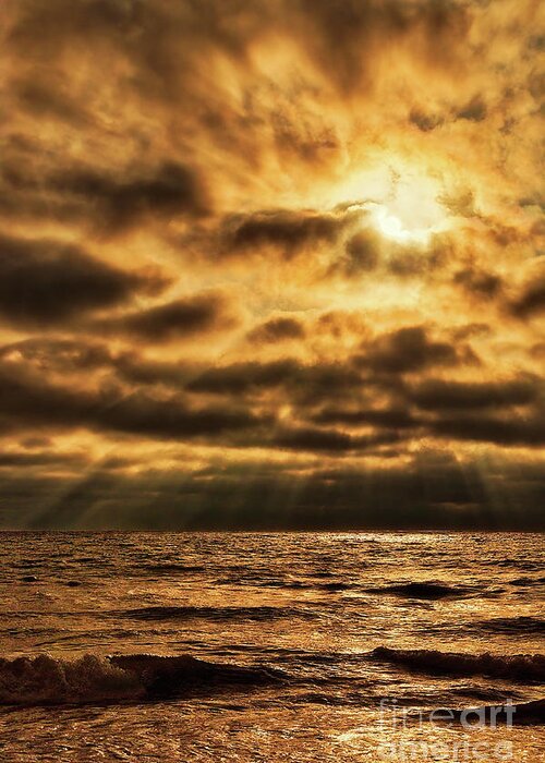 Golden Greeting Card featuring the photograph Golden Rays On The Ocean by Eddie Yerkish