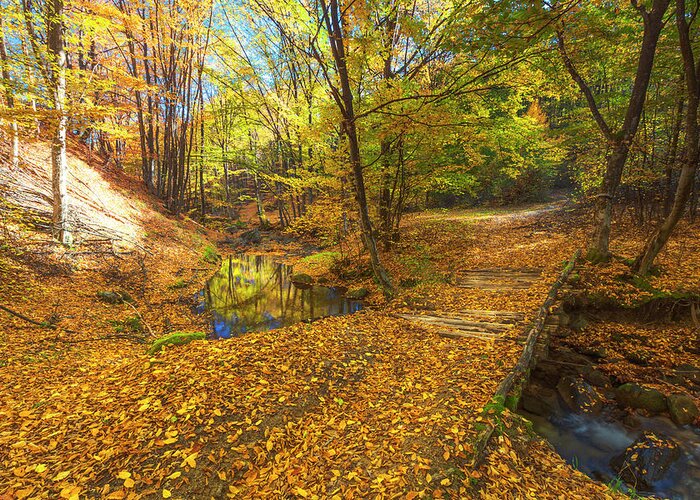 Bulgaria Greeting Card featuring the photograph Golden River by Evgeni Dinev