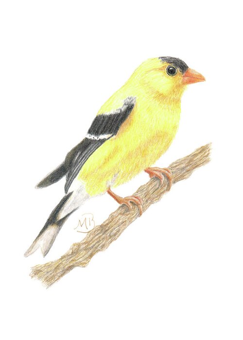 Bird Greeting Card featuring the painting Goldfinch by Monica Burnette