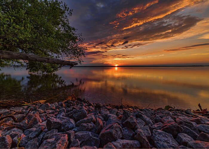 Higgins Lake Greeting Card featuring the photograph Good Morning by Joe Holley