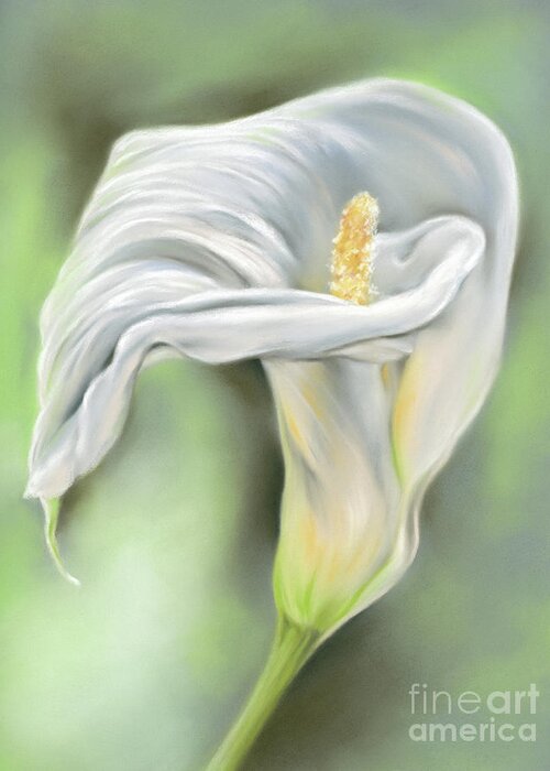 Botanical Greeting Card featuring the painting Graceful Lily Flower White Calla by MM Anderson