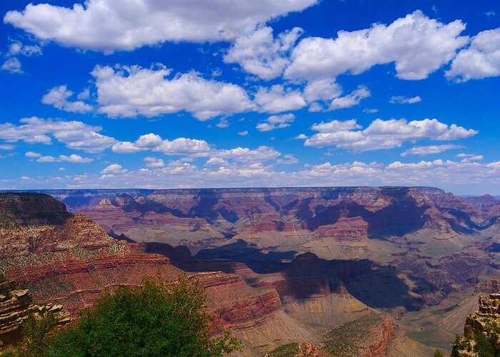  Greeting Card featuring the photograph Grand Canyon by Alex King