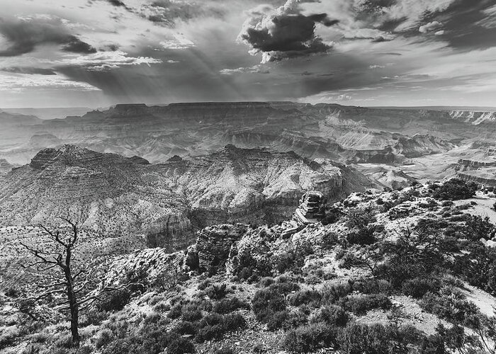 Arizona Greeting Card featuring the photograph Grand Canyon Desert view 3 BW by Mati Krimerman