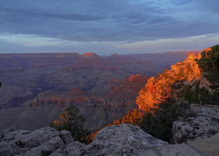 Grandcanyon Greeting Card featuring the photograph Grand Canyon by Joelle Philibert