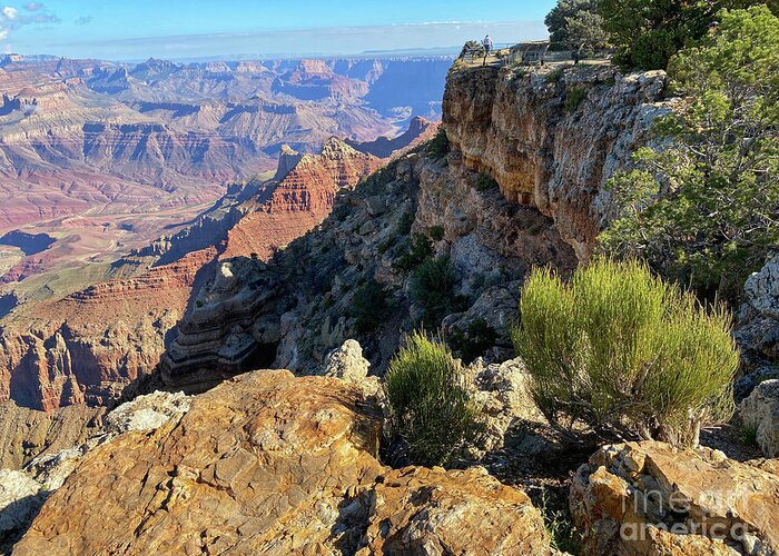 Grand Canyon Greeting Card featuring the photograph Grand Canyon South Rim by Jeanette French