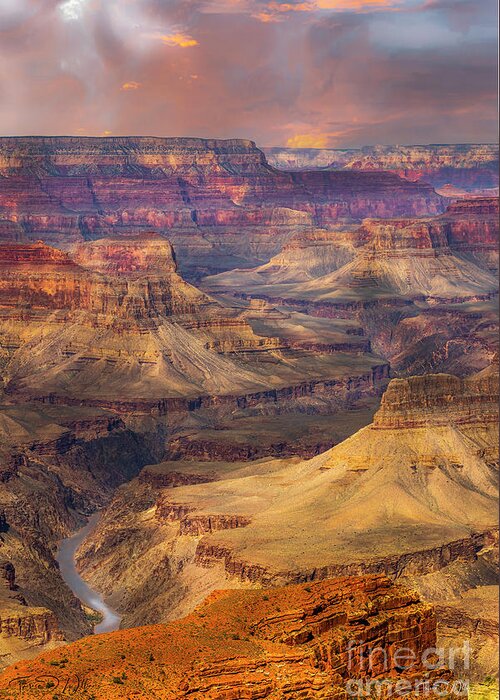 Grand Canyon Greeting Card featuring the photograph Grand Canyon View from the Rim by Theresa D Williams