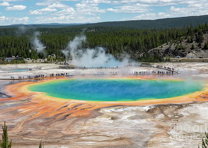Yellowstone Greeting Card featuring the photograph Grand Prismatic Spring by Erin Marie Davis