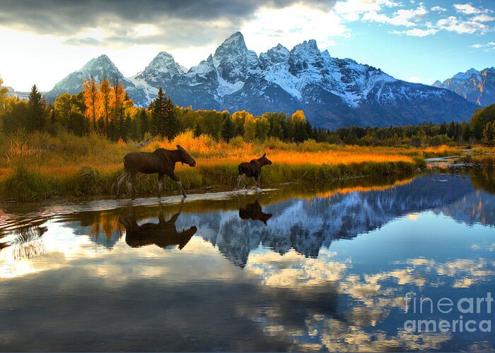 Grand Greeting Card featuring the photograph Grand Teton National Park Autumn Stroll by Adam Jewell
